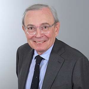 Philippe Hamon - Senior Advisor - VIP Conseils